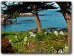 Click for more information on Weddings at Agate Cove Inn.
