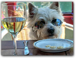 PLACES TO EAT WITH YOUR DOGGIE